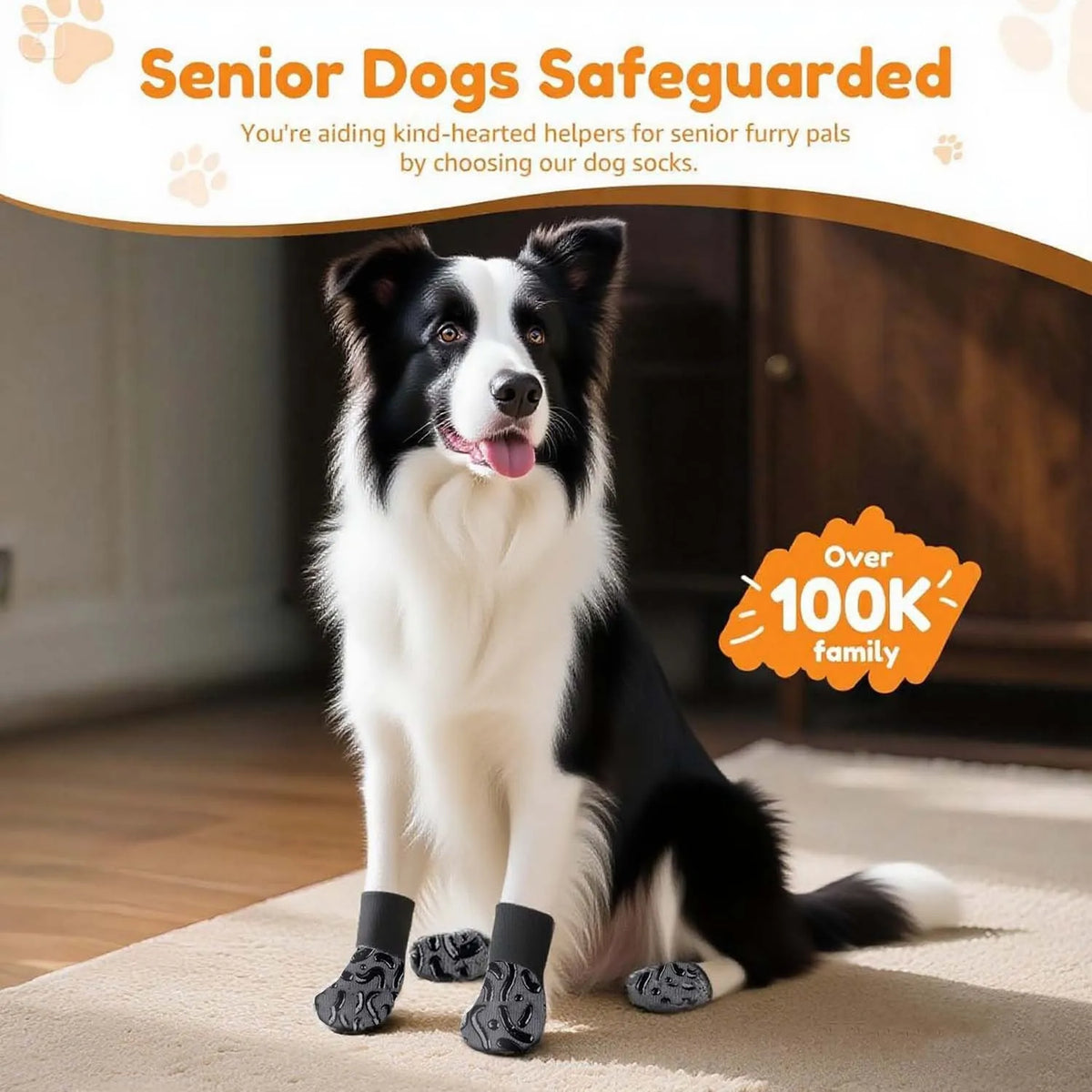 A black and white dog wearing anti-slip socks lying on a light carpet.
