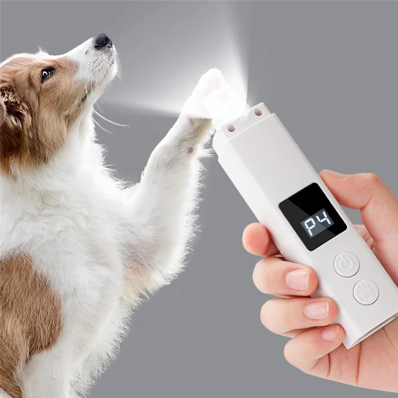 A hand holds a white pet nail grinder device, which is emitting a bright light onto a dog's paw.