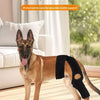 A brown dog wearing a black joint protection cover stands indoors.