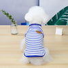 A fluffy white dog wearing a blue and white striped sleeveless vest sitting on a wooden table.