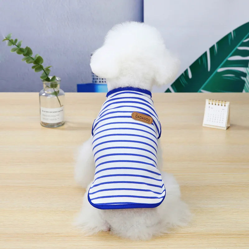 A fluffy white dog wearing a blue and white striped sleeveless vest sitting on a wooden table.