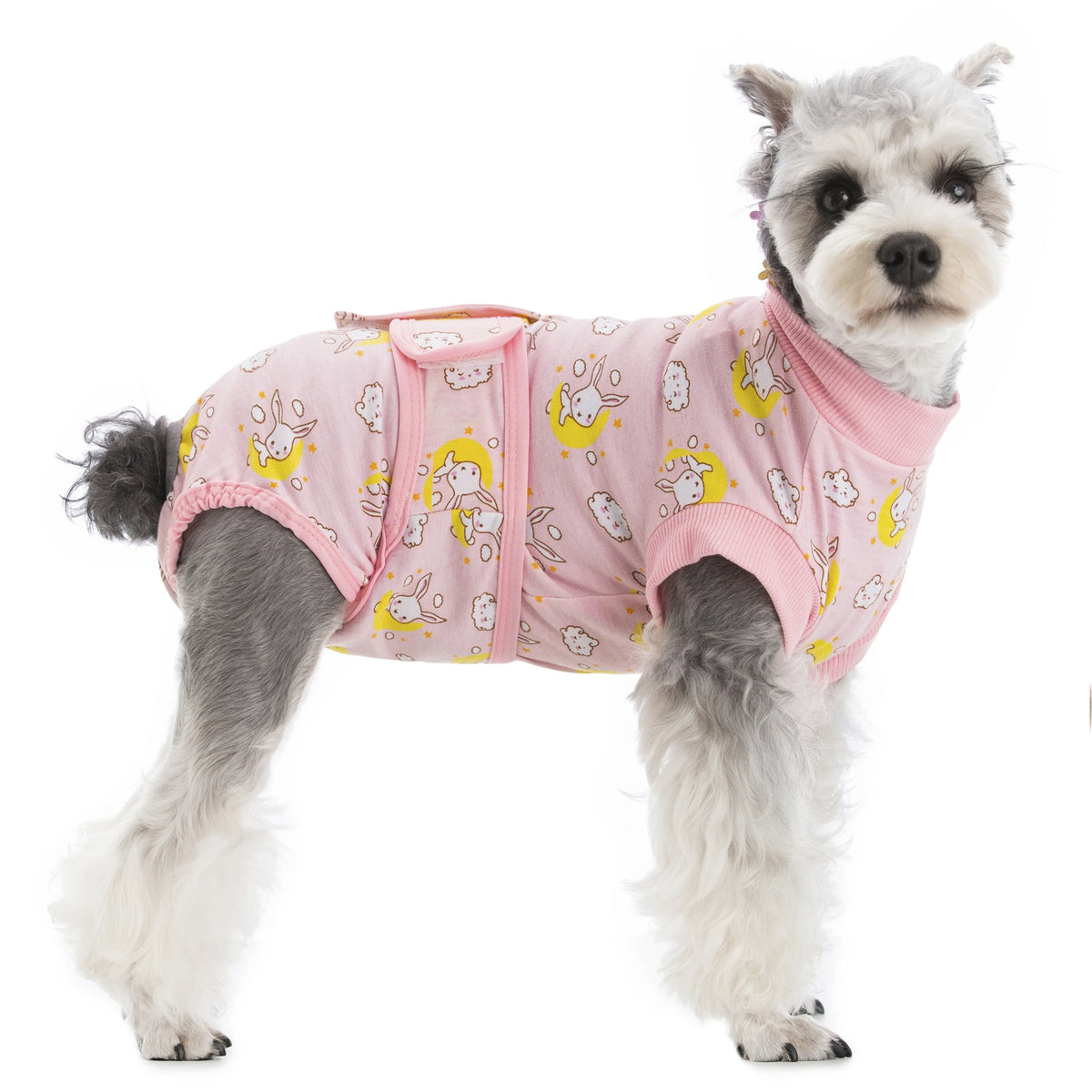 Un petit chien duveteux portant une combinaison de récupération rose avec des motifs jaunes.