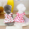 A fluffy gray dog wearing a pink strawberry dress sitting on a light surface.