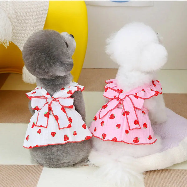 A fluffy gray dog wearing a pink strawberry dress sitting on a light surface.