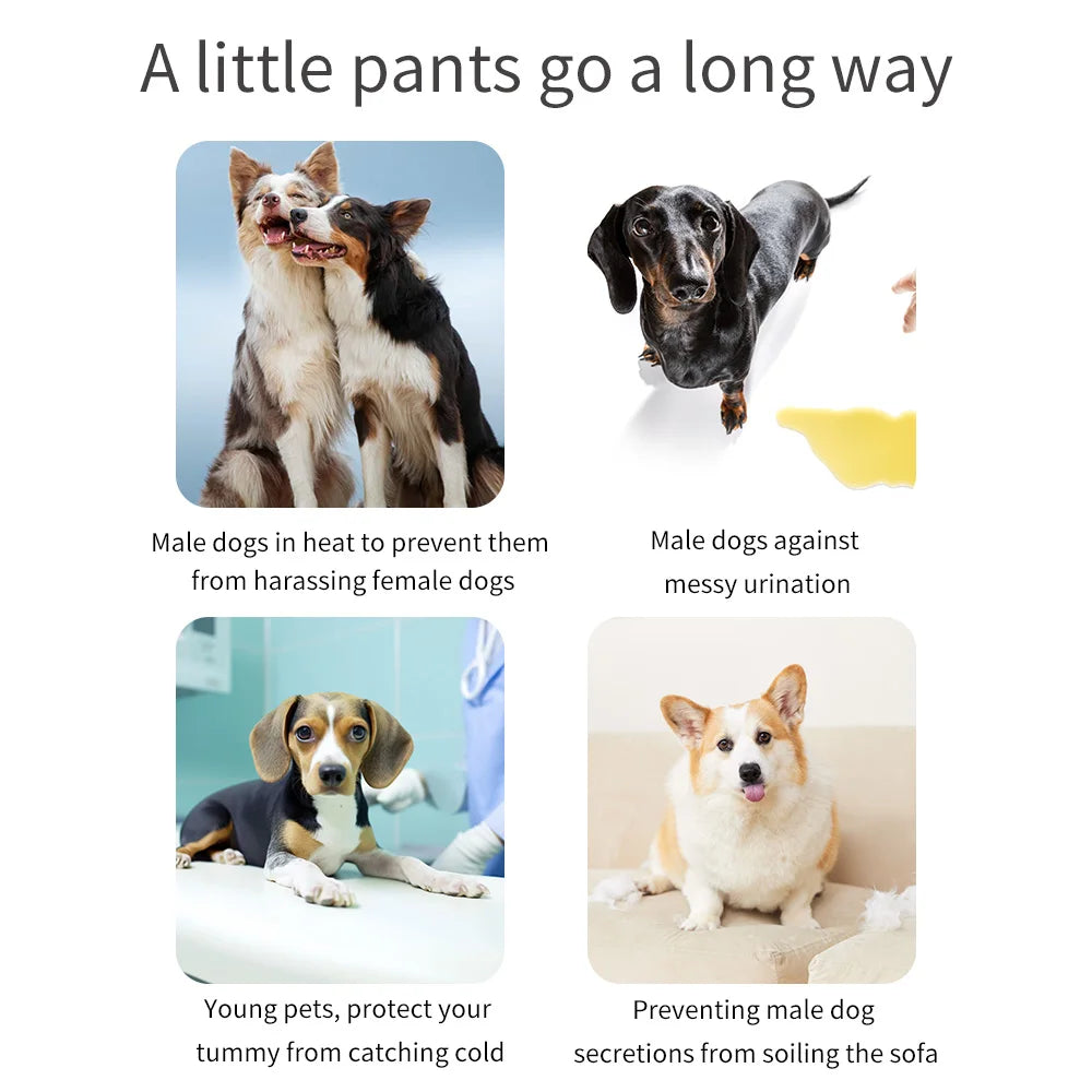 A collage showing male dogs in various situations, including preventing harassment and messy urination.