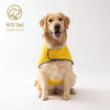 A golden retriever wearing a yellow all-weather dual-sided dog raincoat.