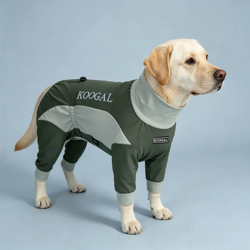 A light-colored dog wearing a olive green cooling suit with gray accents, standing on a light blue background.