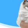 A person is using white gloves to wipe a cat with pet no-rinse spa glove wipes.