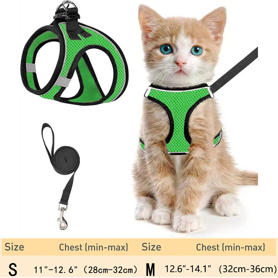 Un pequeño gatito atigrado naranja vistiendo un arnés verde de mascota y mirando a la cámara.