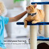 An orange cat is perched on a multi-level cat tree, wearing a black collar with an AirTag holder.