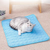A fluffy gray and white cat is relaxing on a bright blue cooling pet mat.