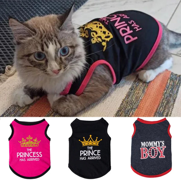 Three black pet vests featuring gold crowns and text like The Princess Has Arrived and Mommy's Boy