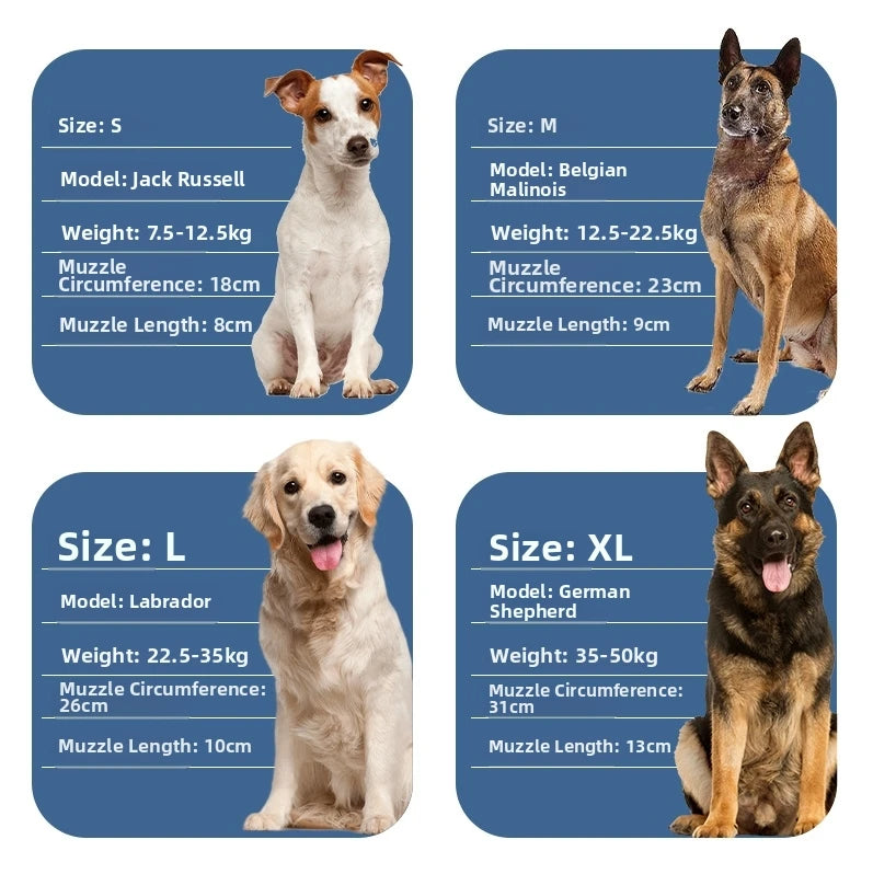 A comparison chart showing sizes, weights, and muzzle dimensions for different dog breeds: Jack Russell, Belgian Malinois, La