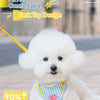 A white poodle wearing a blue and white striped dog harness designed for comfort.
