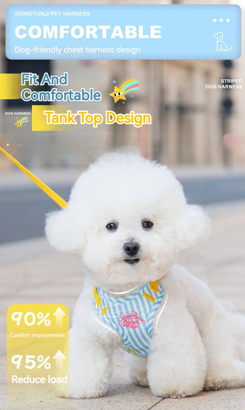 A white poodle wearing a blue and white striped dog harness designed for comfort.