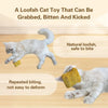 A fluffy gray cat is playing with a natural loofah cat toy.