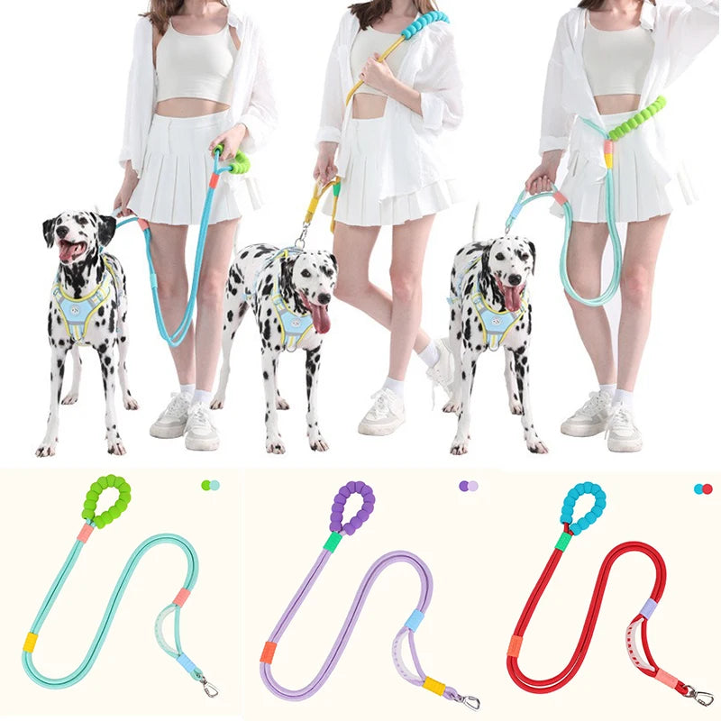 Un juego de correas para perros ajustables y sin correa, en varios colores y estilos para pasear y hacer ejercicio.