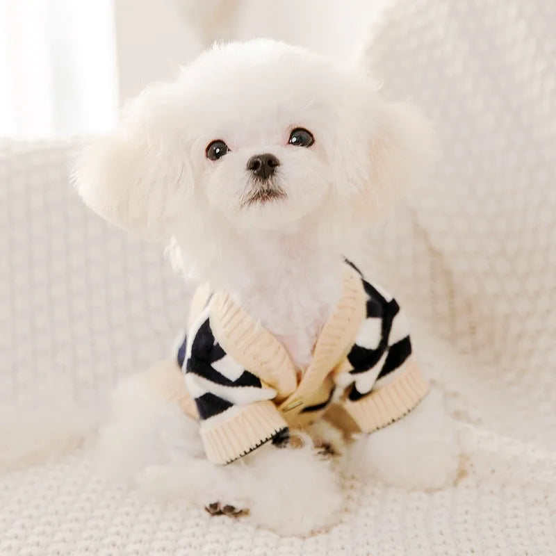 Un perro blanco esponjoso vistiendo un suéter de patrón blanco y negro.