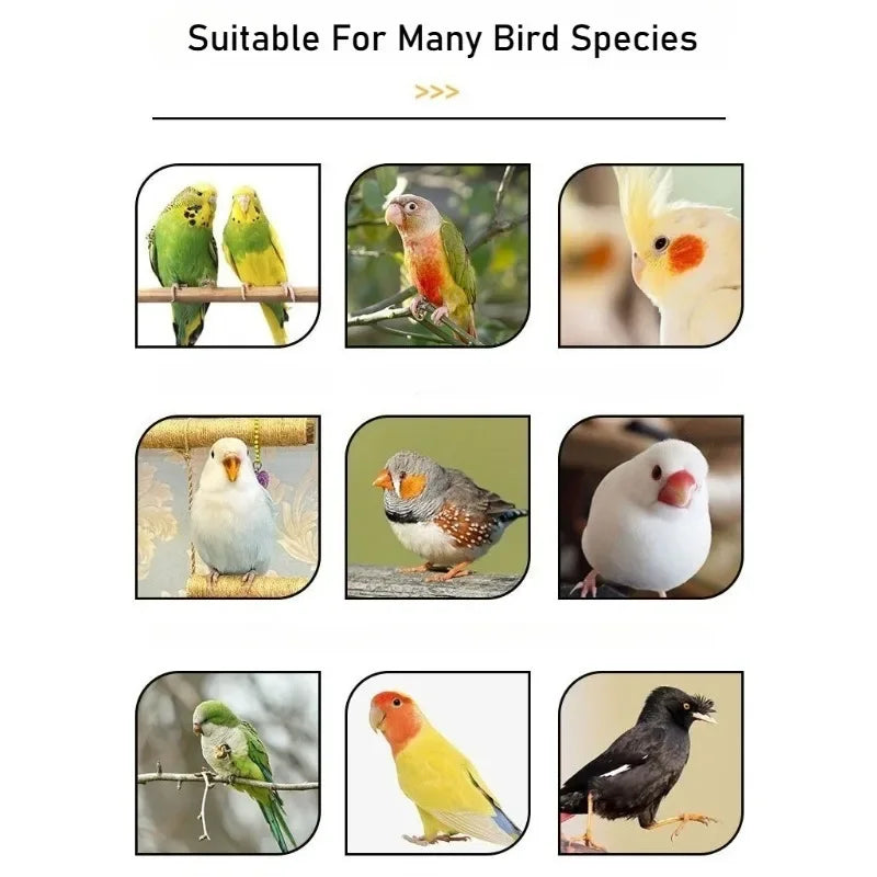 Automatic parrot feeder suitable for many bird species, showing various birds feeding.
