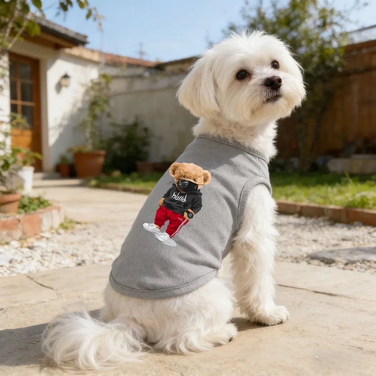 A white poodle wearing a gray printed vest with a black and red graphic, sitting outdoors.