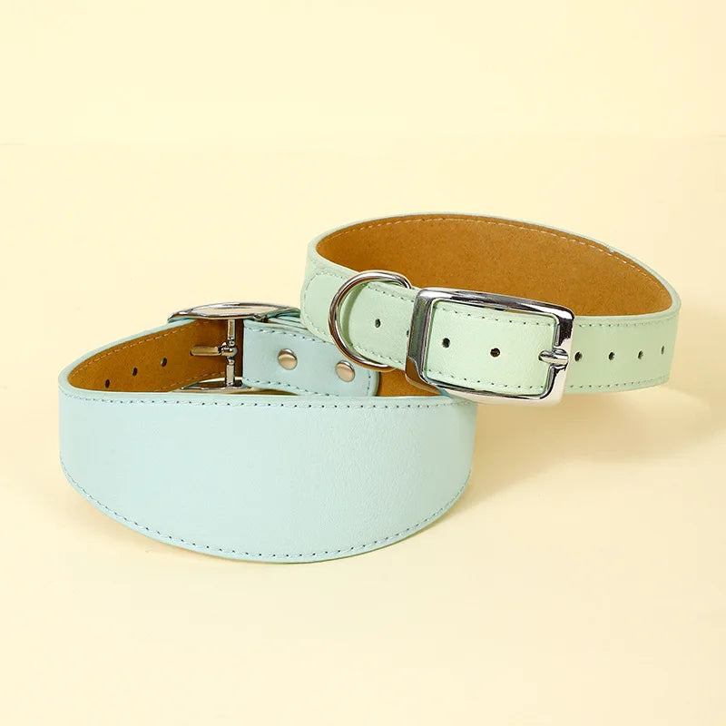 A light mint green wide leather dog collar with a silver buckle shown on a beige background.