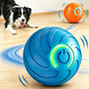 Ein leuchtend blaues interaktives Spielball für Haustiere auf einem Holzfußboden mit einem Hund in der Nähe.