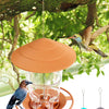Orange wasserdichtes Vogelfutterspender, aufgehängt an einem Ast, mit Glasschale und kleinen türkisen Futtererger.