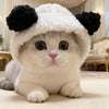A fluffy white kitten wearing a black bear cap pet head cover, sitting on a light surface.