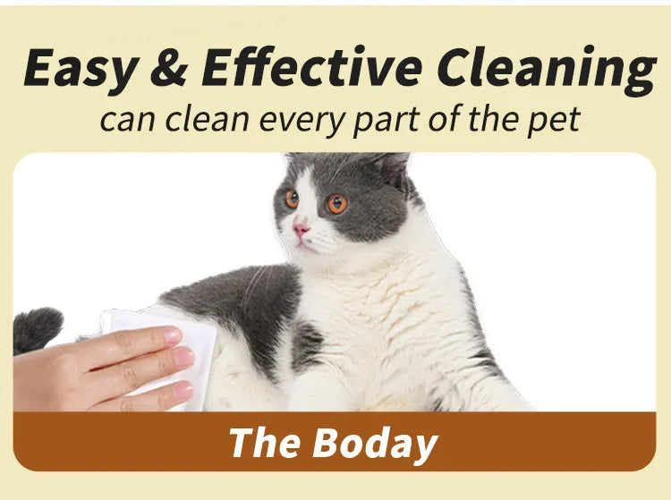 A cat is being cleaned on its body with a white wipe, demonstrating easy and effective cleaning.