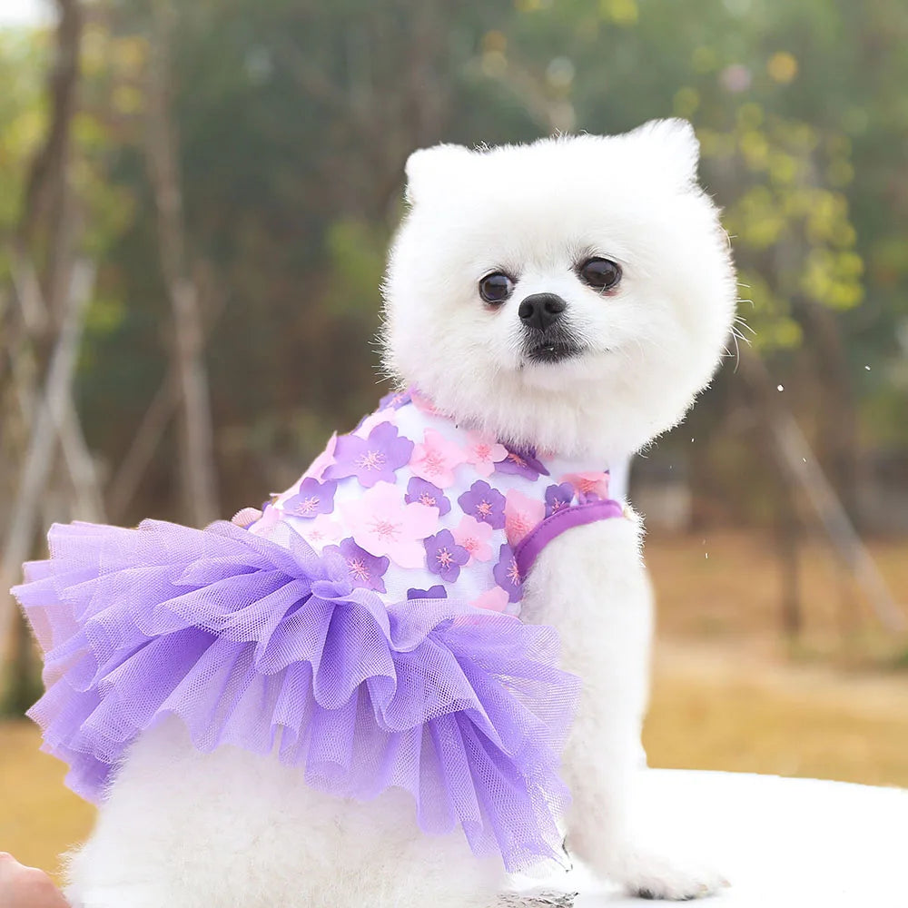Un perro blanco vistiendo un vestido de chifón de encaje morado con detalles florales.
