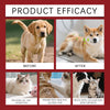 Before and after images showing a dog and a cat with dry skin, demonstrating the product's efficacy.