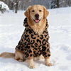 A golden retriever wearing a leopard print fleece hoodie sitting in the snow.