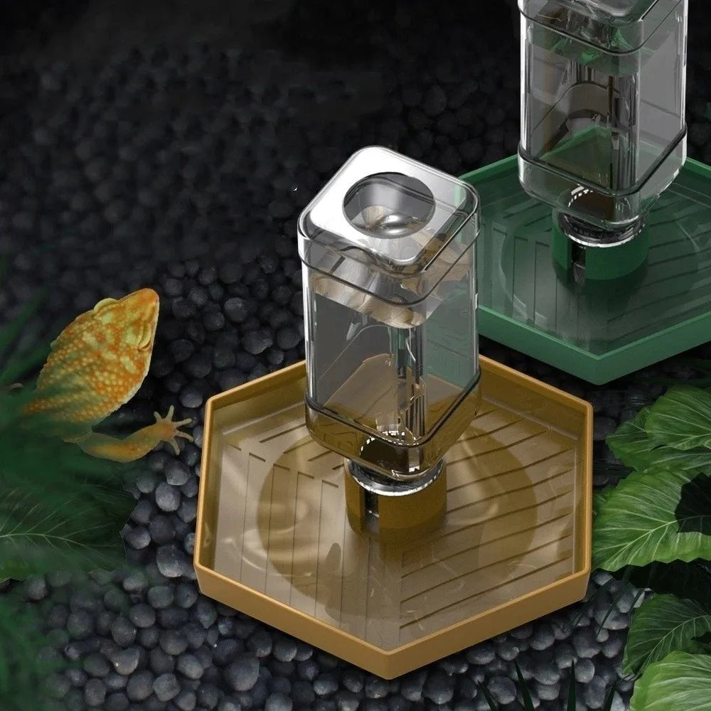 A clear glass automatic reptile water dispenser bowl rests on a wooden tray with a green base.
