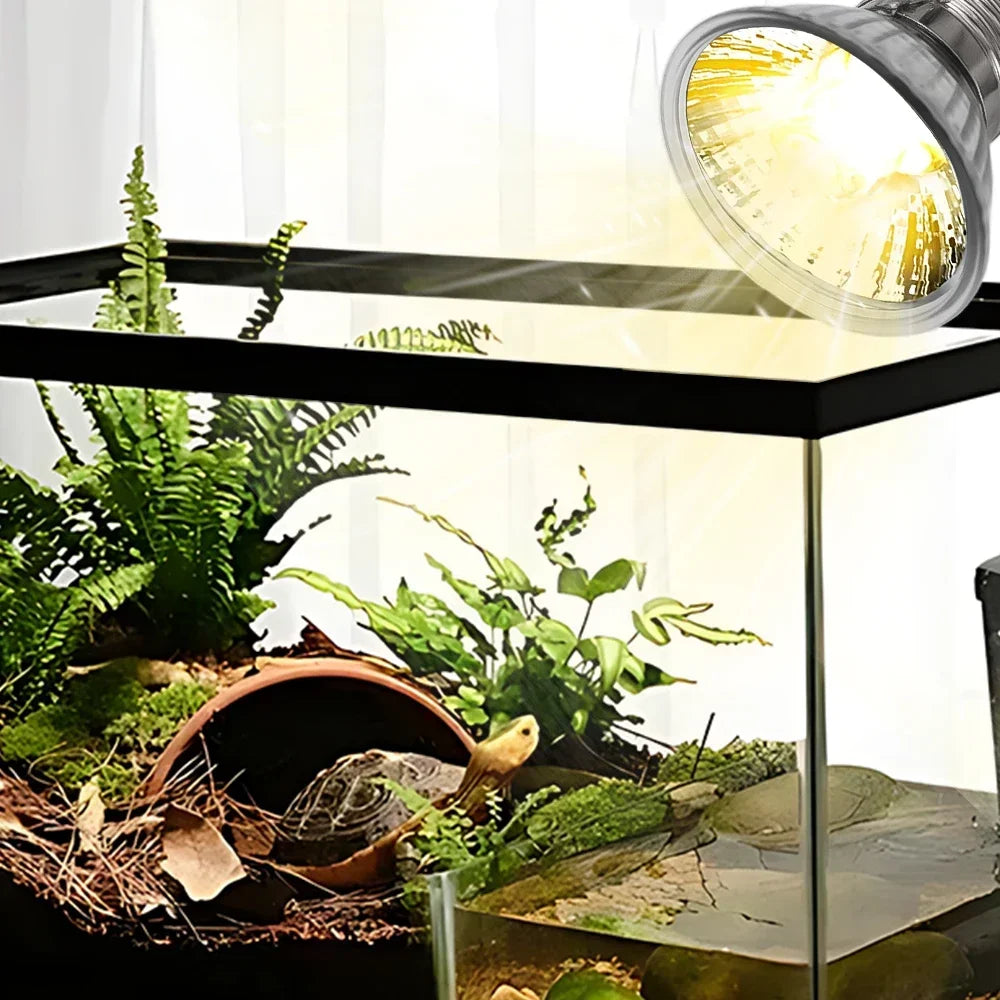 Nahaufnahme einer UVB-Reptilhitzlampe, die üppige grüne Pflanzen in einem Glasgefängnis beleuchtet.
