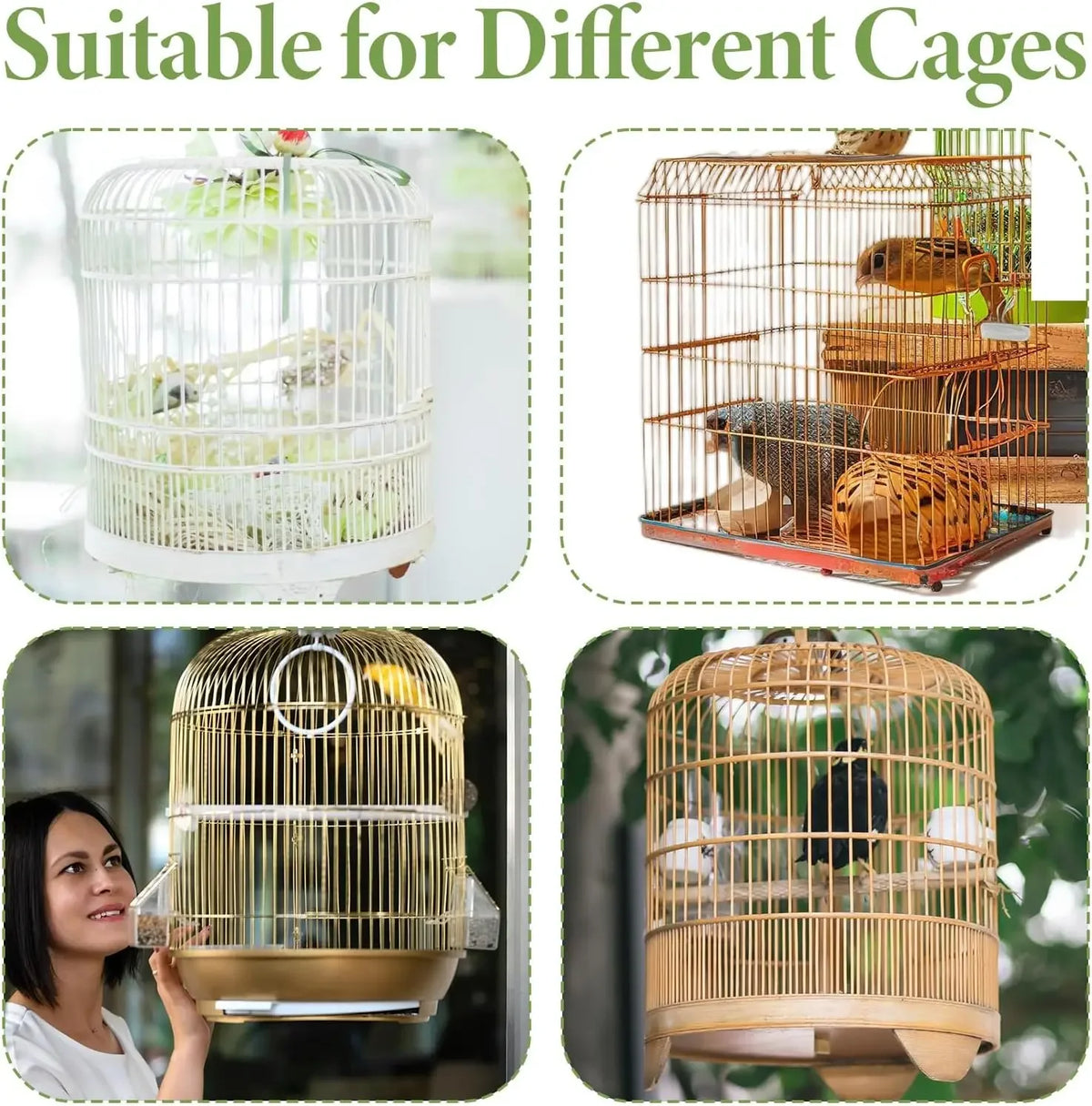 A variety of bird cages and a large, round cage are shown, demonstrating suitability for different bird sizes.