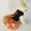 A white dog wearing a black dress with an orange ruffled skirt decorated with skulls and a bow.