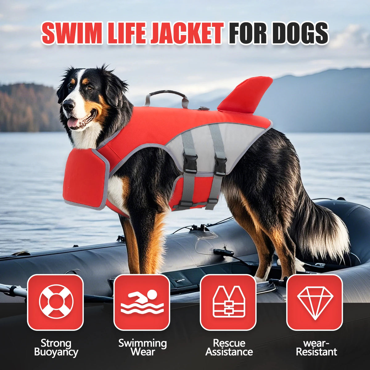 A black and white dog wearing a red swim life jacket on a boat, demonstrating strong buoyancy and rescue assistance.