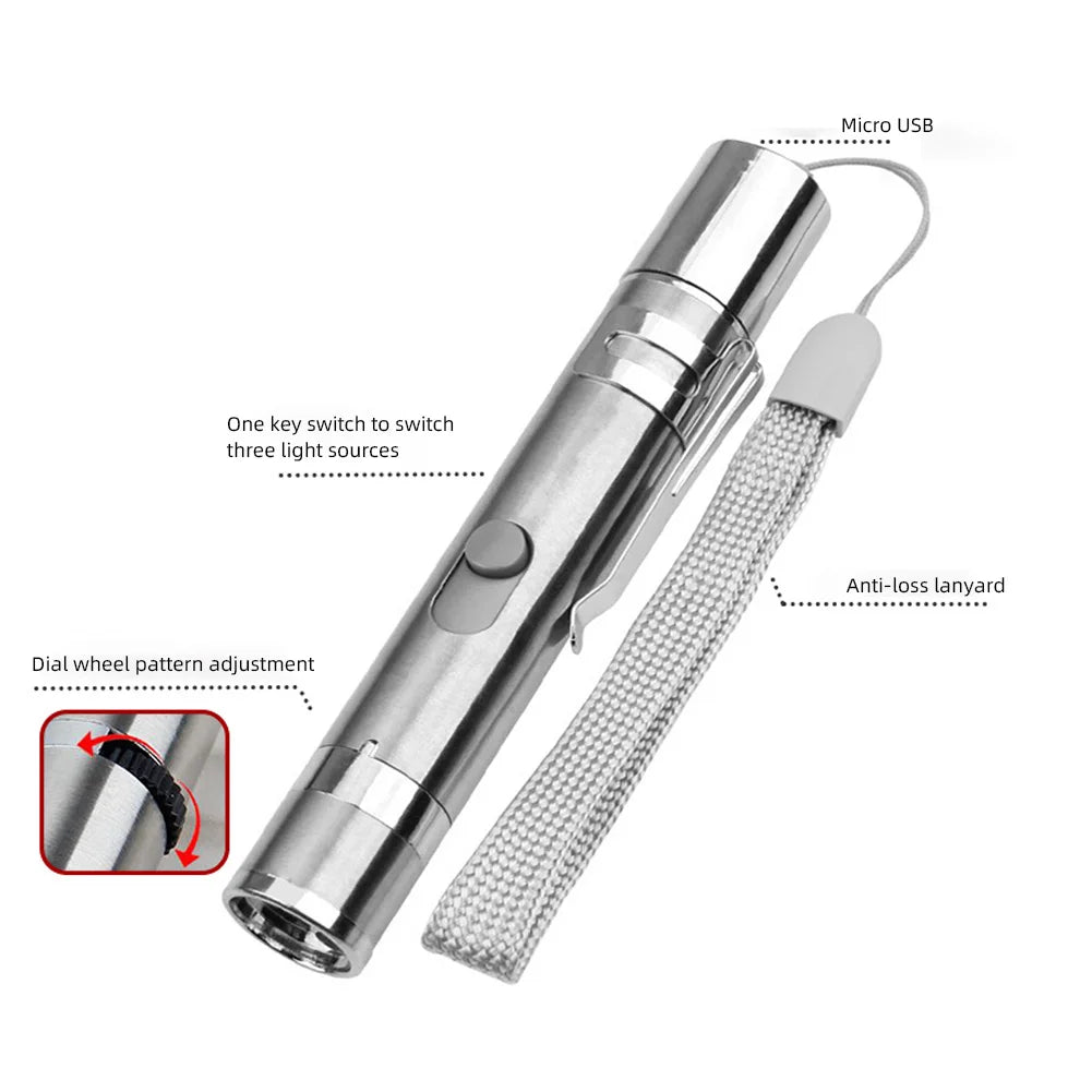 A silver pet laser pointer toy with a switch, lanyard, and micro USB connector.