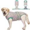 Un golden retriever portant une tenue de récupération pour animaux à motifs verts et blancs avec des composants de harnais at