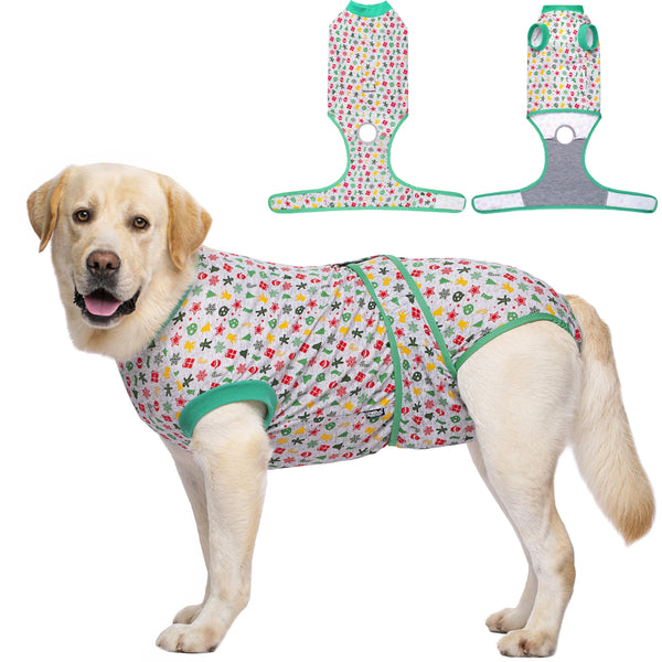 A golden retriever wearing a green and white patterned pet recovery suit with attached harness components.