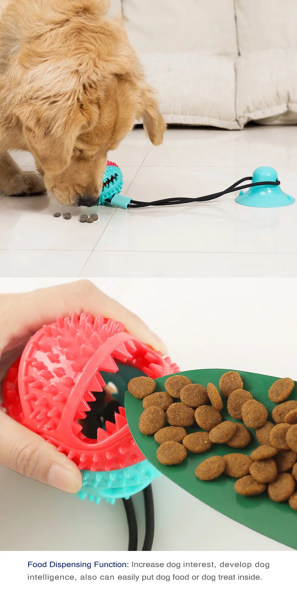 A hand holds a red and blue interactive suction cup tug dog ball with food dispensing function.