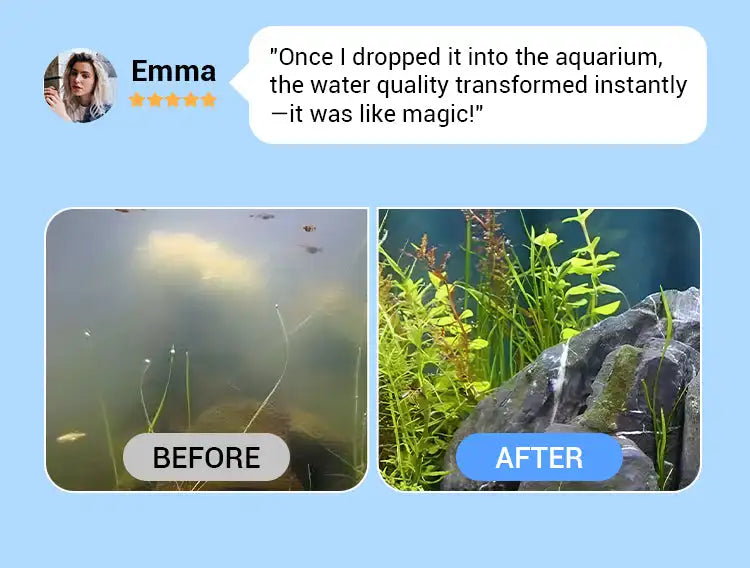 Before and after comparison of aquarium water quality using purification tablets.