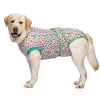 A light-colored dog wearing a patterned recovery suit for post-surgery protection.