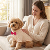 A woman is wearing a beige waffle knit dog sweater with a red bowtie while sitting on a sofa with a golden retriever puppy.