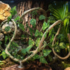 Realistic artificial reptile vines with green leaves winding around a tree trunk for terrarium decor