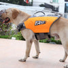Un perro de color claro vistiendo un chaleco salvavidas naranja con correas negras.