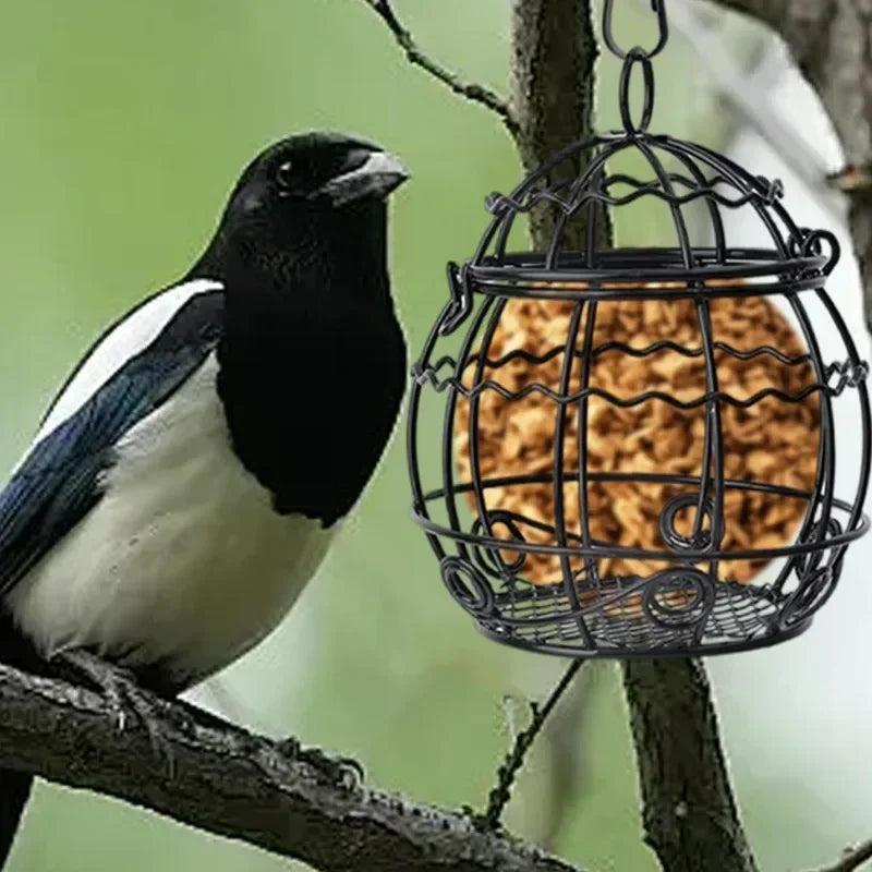 A black and white bird is perched on a branch next to a decorative hanging metal bird feeder filled with seeds.