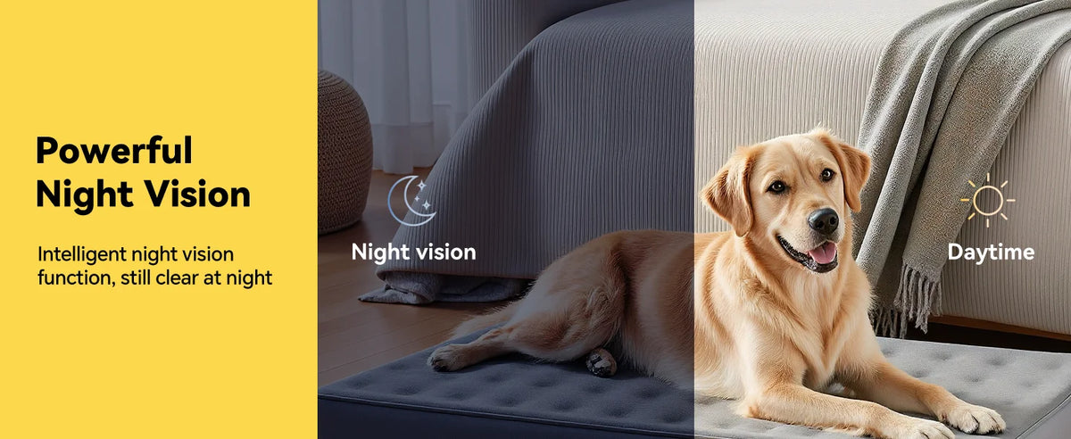 Un perro dorado descansa en una alfombra junto a una cámara robot mascota inteligente, ilustrando visión nocturna y funcional