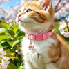 An orange and white tabby cat wearing a pink aesthetic collar with a small flower pendant outdoors.