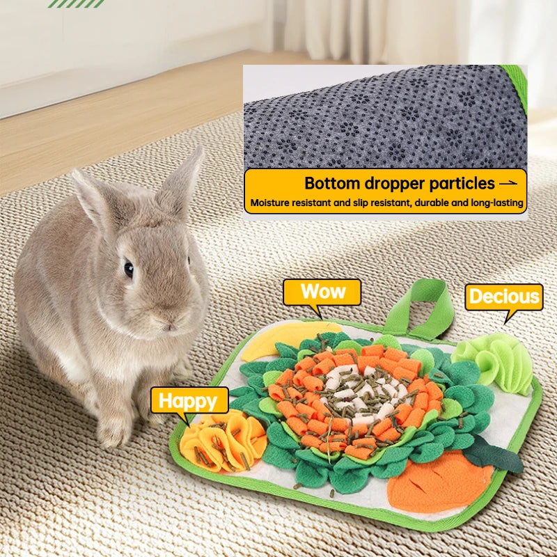 A rabbit is sniffing a green and orange pet mat designed for small animal training.